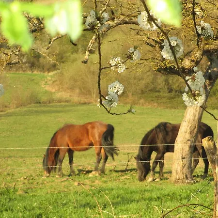 La Ferme De Werpin Hotton