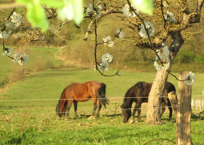 La Ferme De Werpin Hotton